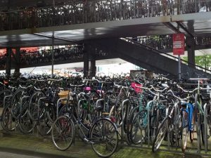 Best Bike Shops Amsterdam Paved Trails Your Area