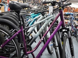 Best Bike Shops Springfield MA Paved Trails Your Area