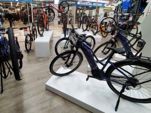 Best Bike Shops St Petersburg Paved Trails Your Area