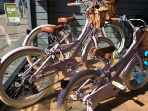 Best Bike Shops Boston Paved Trails Your Area
